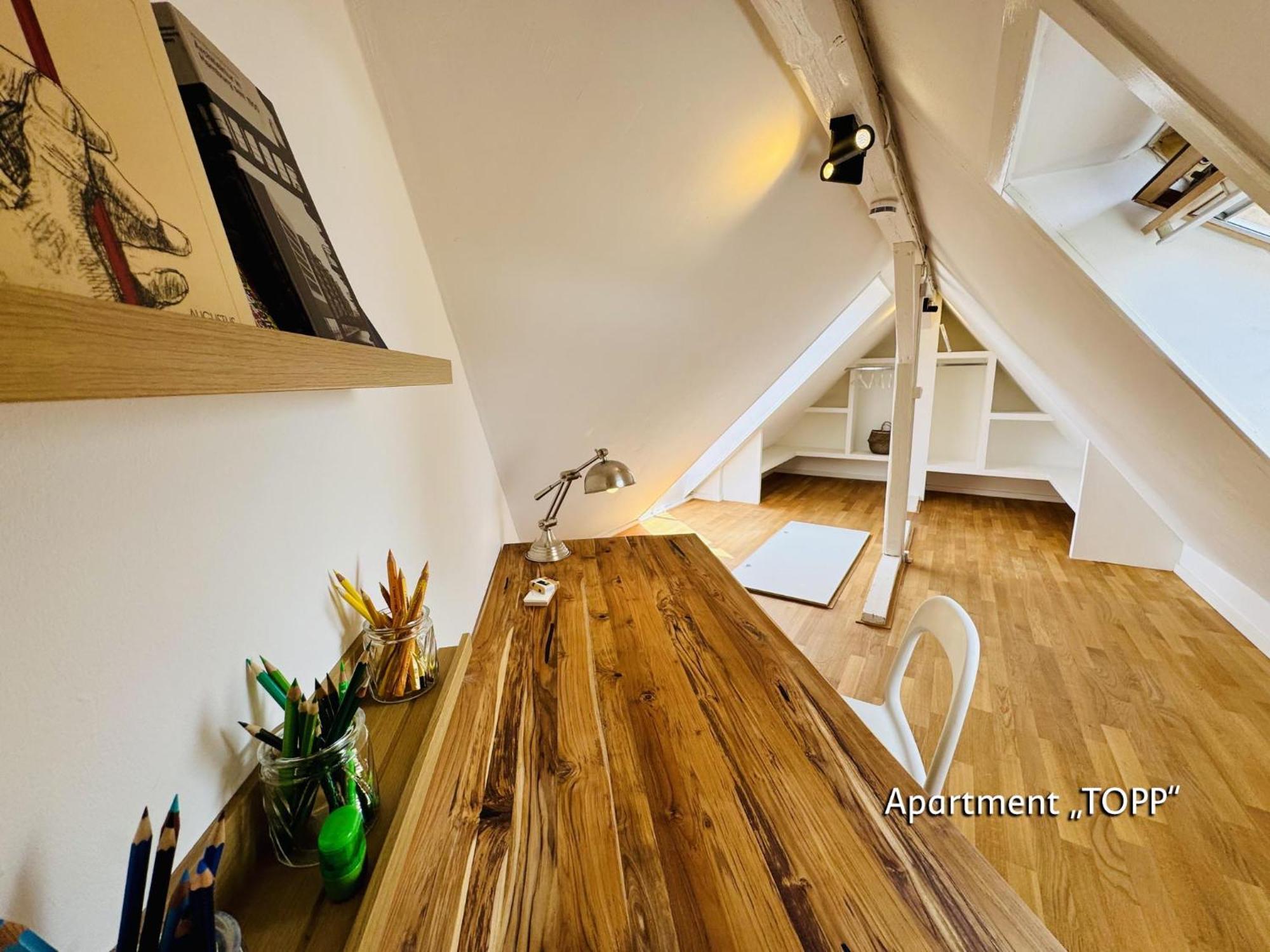 Penthouse Apartment